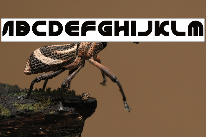 GRAPHIC DESIGN-Inverse Example 2