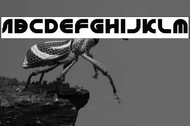 GRAPHIC DESIGN-Inverse Font examples