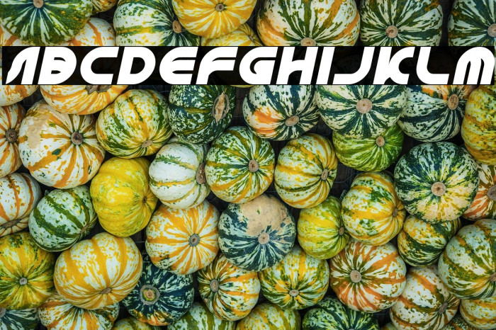 GRAPHIC DESIGN Italic Example 3