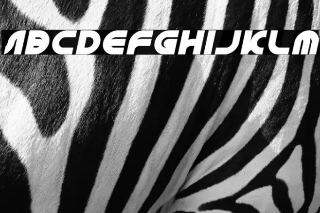 GRAPHIC DESIGN Italic Font examples