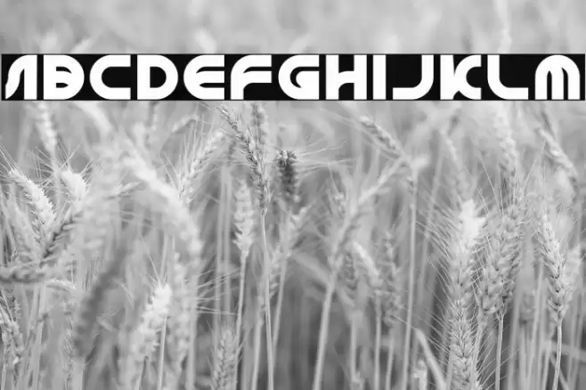 GRAPHIC DESIGN-Light Font examples