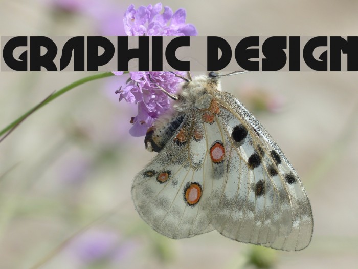 GRAPHIC DESIGN Font examples