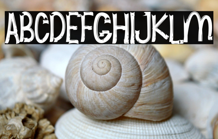 GRAPHIC PLANT Example 2