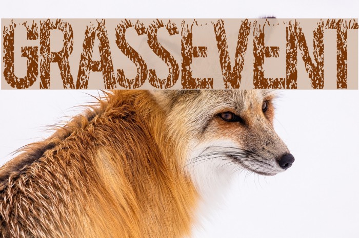 GRASSEVENT Font examples