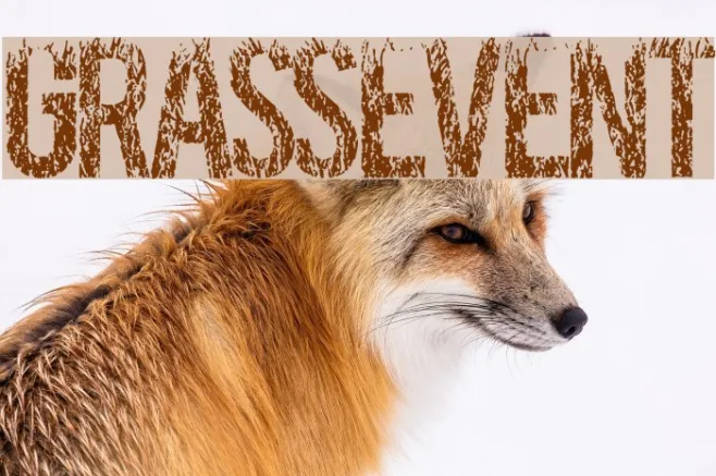 GRASSEVENT Example 1