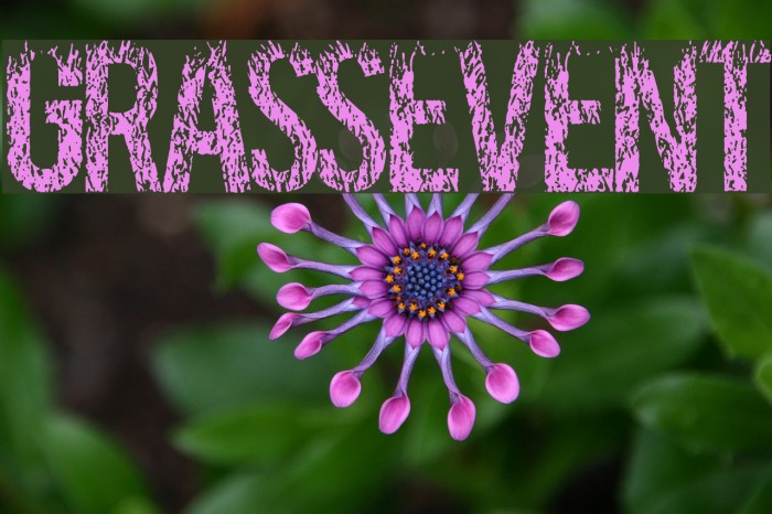 GRASSEVENT Font examples