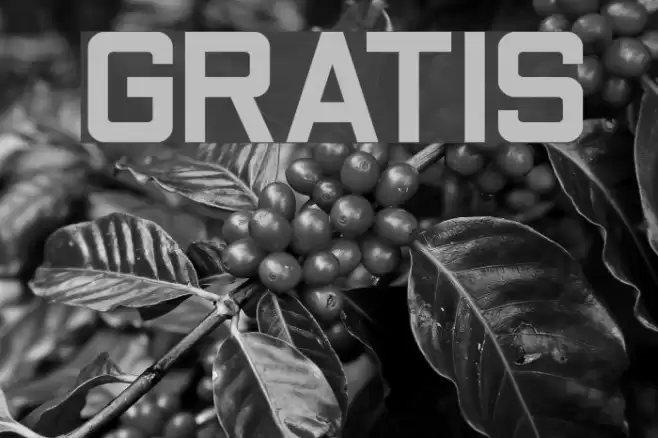 GRATIS Font examples