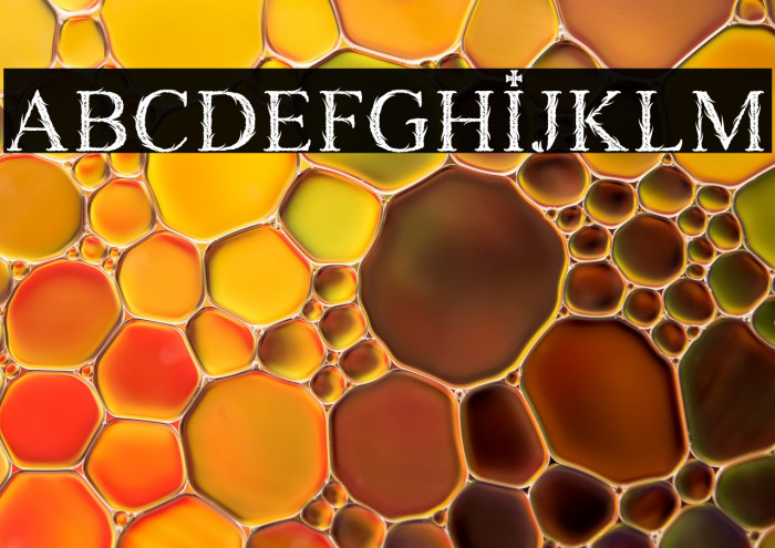 GRAVEDIGGER PERSONAL USE Example 1