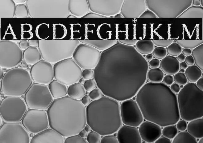 GRAVEDIGGER PERSONAL USE Font examples