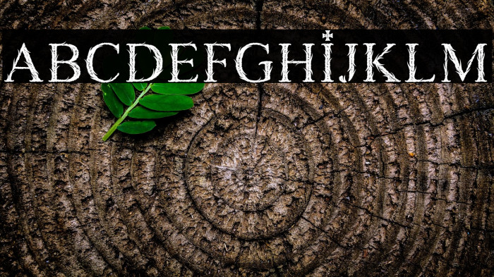 GRAVEDIGGER PERSONAL USE Example 2