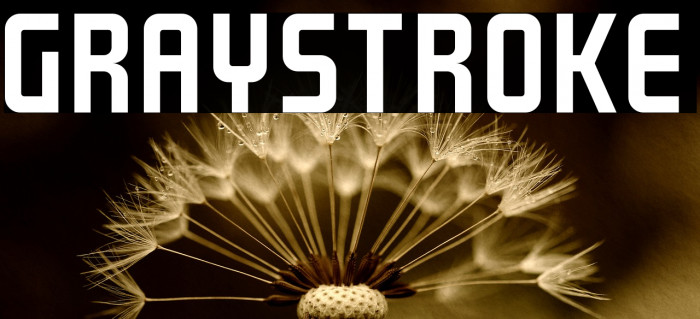 GRAYSTROKE Font examples
