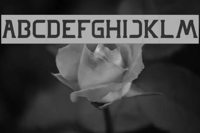 GREAT ADVENTURE-Inverse Font examples