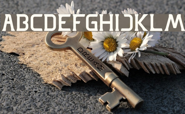 GREAT ADVENTURE-Light Example 1