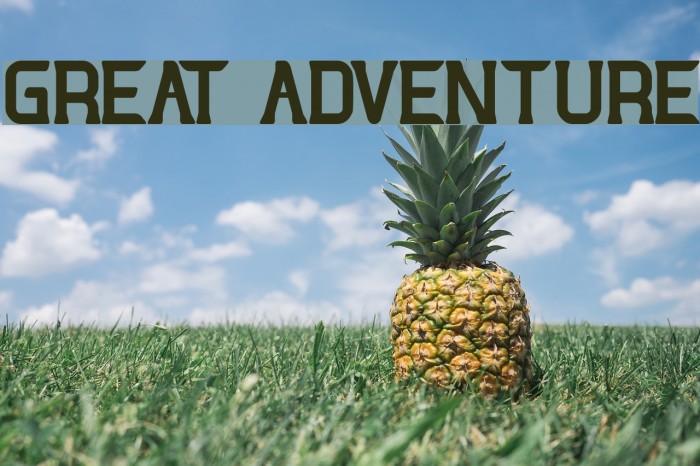 GREAT ADVENTURE Font examples