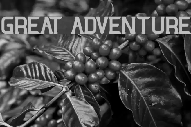 GREAT ADVENTURE Font examples