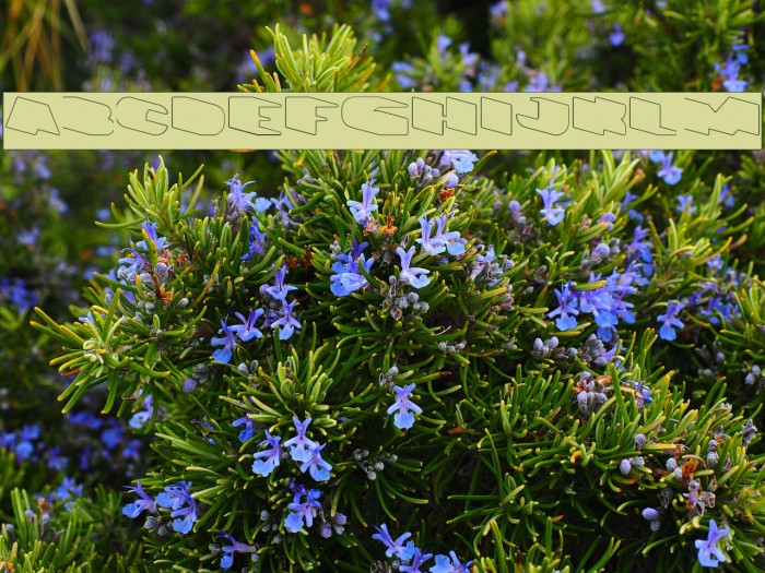 GREATEST VIEW-Hollow-Inverse Example 1