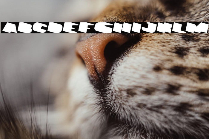 GREATEST VIEW Italic Example 1