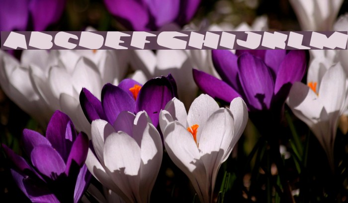 GREATEST VIEW Italic Example 2