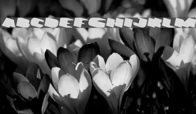 GREATEST VIEW Italic Font examples