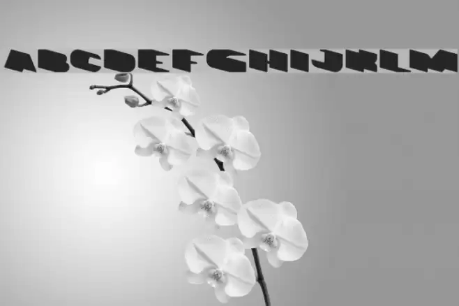 GREATEST VIEW-light Font examples