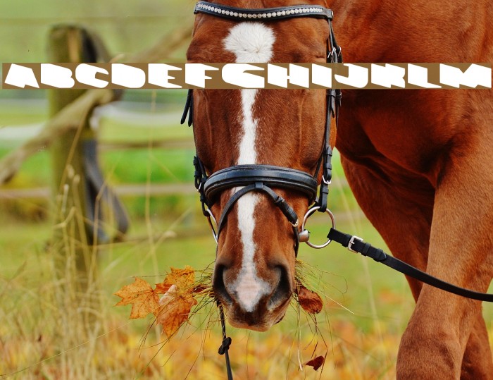 GREATEST VIEW-light Example 3