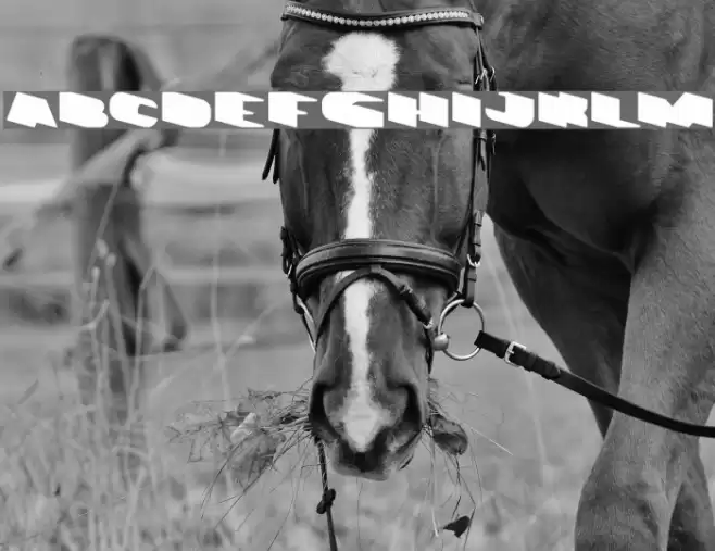 GREATEST VIEW-light Font examples