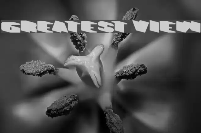 GREATEST VIEW Font examples