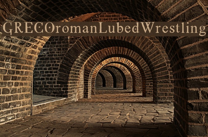 GRECOromanLubedWrestling Example 1