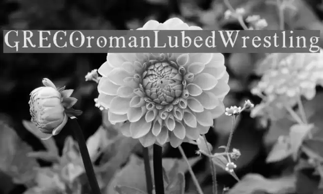 GRECOromanLubedWrestling Font examples