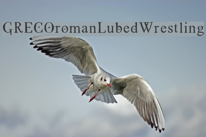 GRECOromanLubedWrestling Example 3