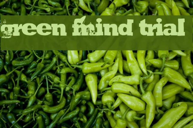 GREEN MIND TRIAL Example 1