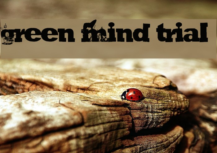 GREEN MIND TRIAL Font examples