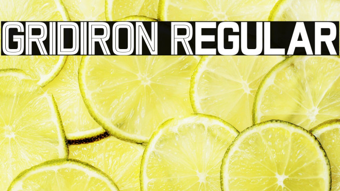 GRIDIRON Regular Example 1