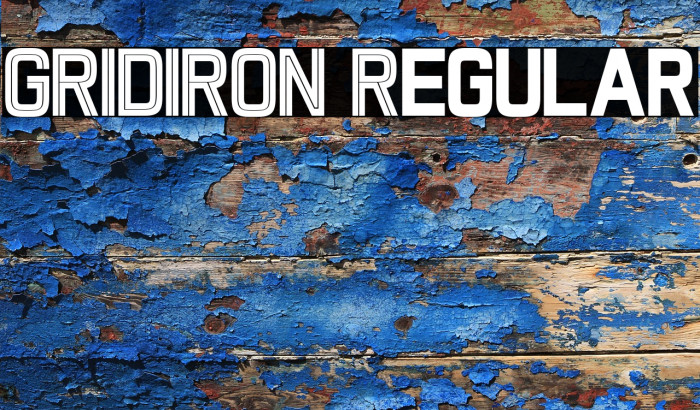 GRIDIRON Regular Example 2