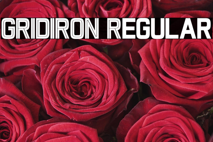 GRIDIRON Regular Example 3