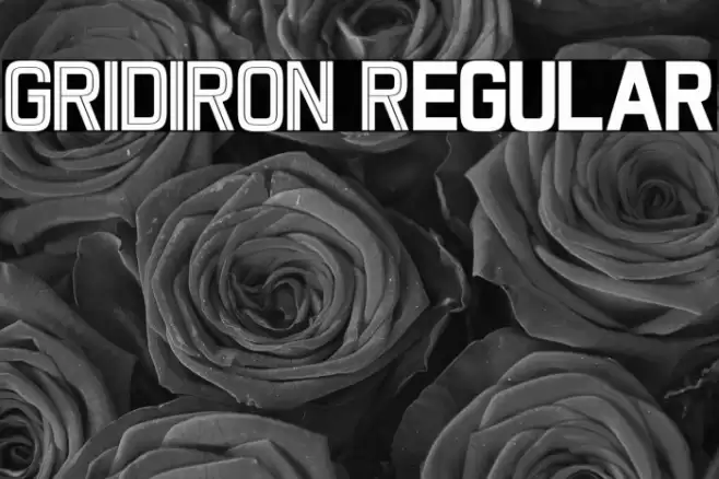 GRIDIRON Regular Font examples