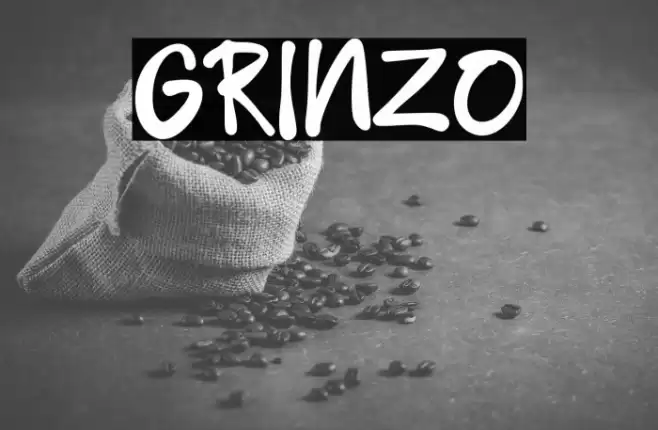 GRINZO Font examples