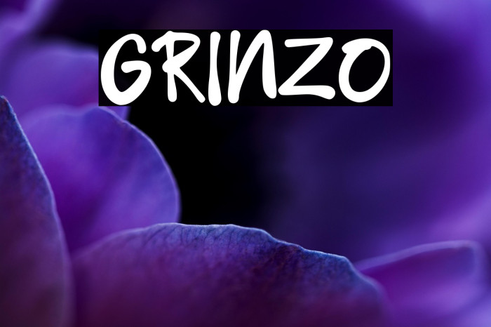 GRINZO Example 2