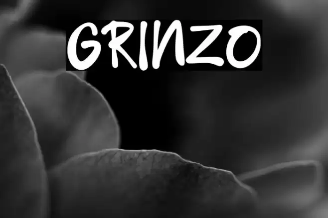 GRINZO Font examples