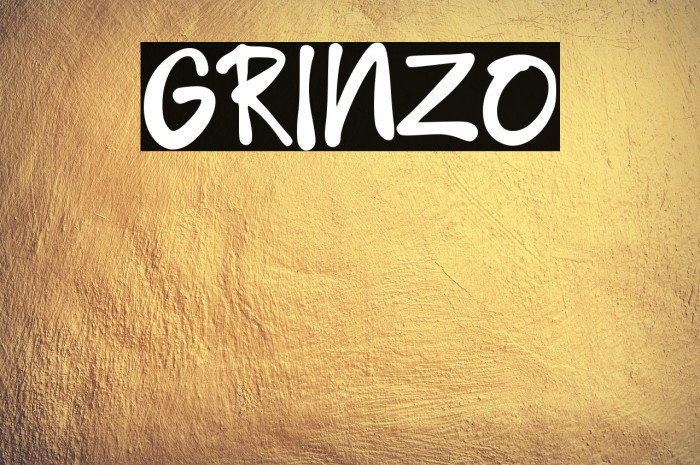 GRINZO Example 3