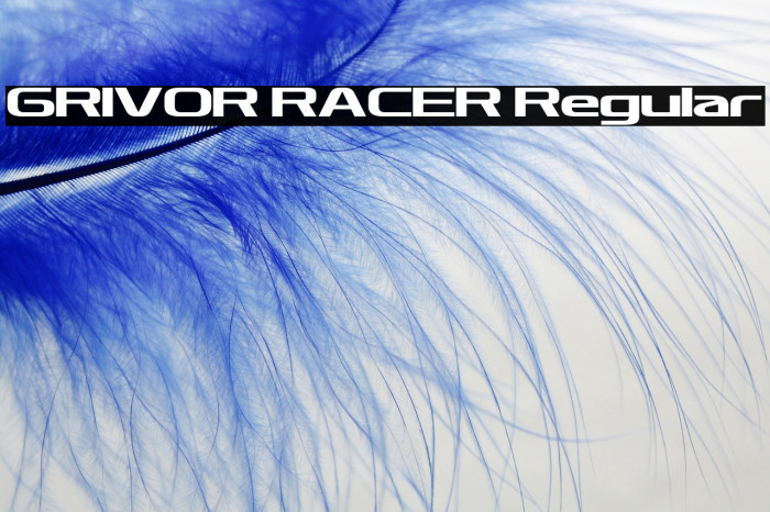 GRIVOR RACER Regular Example 1