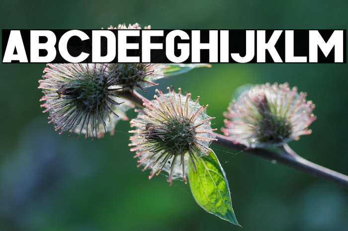 GRMilesonsThree Example 3