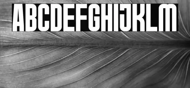 GRNORCH Font examples