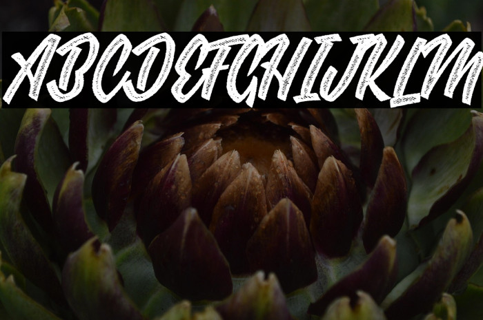 GROOVERS PERSONAL USE Bold Italic Example 3