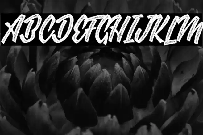 GROOVERS PERSONAL USE Bold Italic Font examples