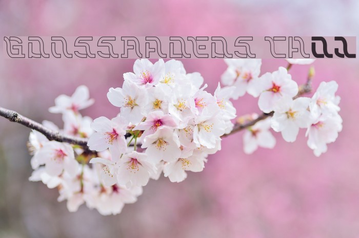 GROSSFADERS CH02 Font examples