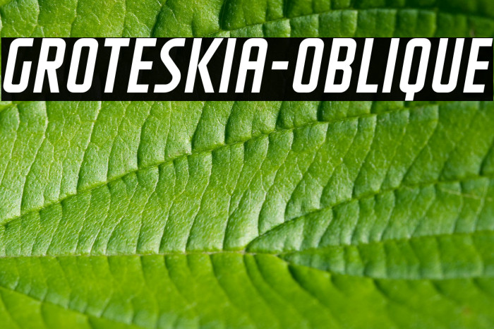 GROTESKIA-OBLIQUE フォント examples