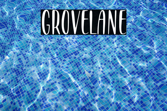 GROVELANE Example 1