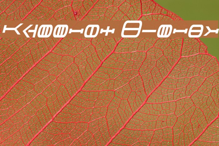 Graalen Italic Example 2