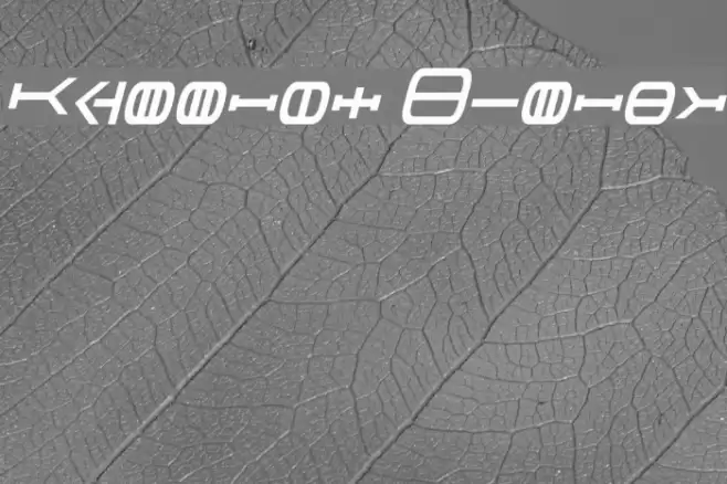 Graalen Italic Font examples